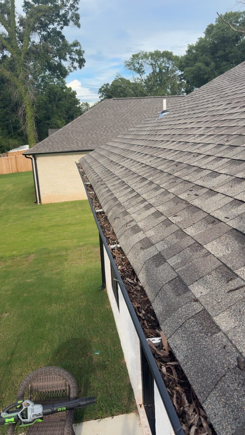 Leaf litter and pine needles filling a gutter along a shingle roof before cleaning