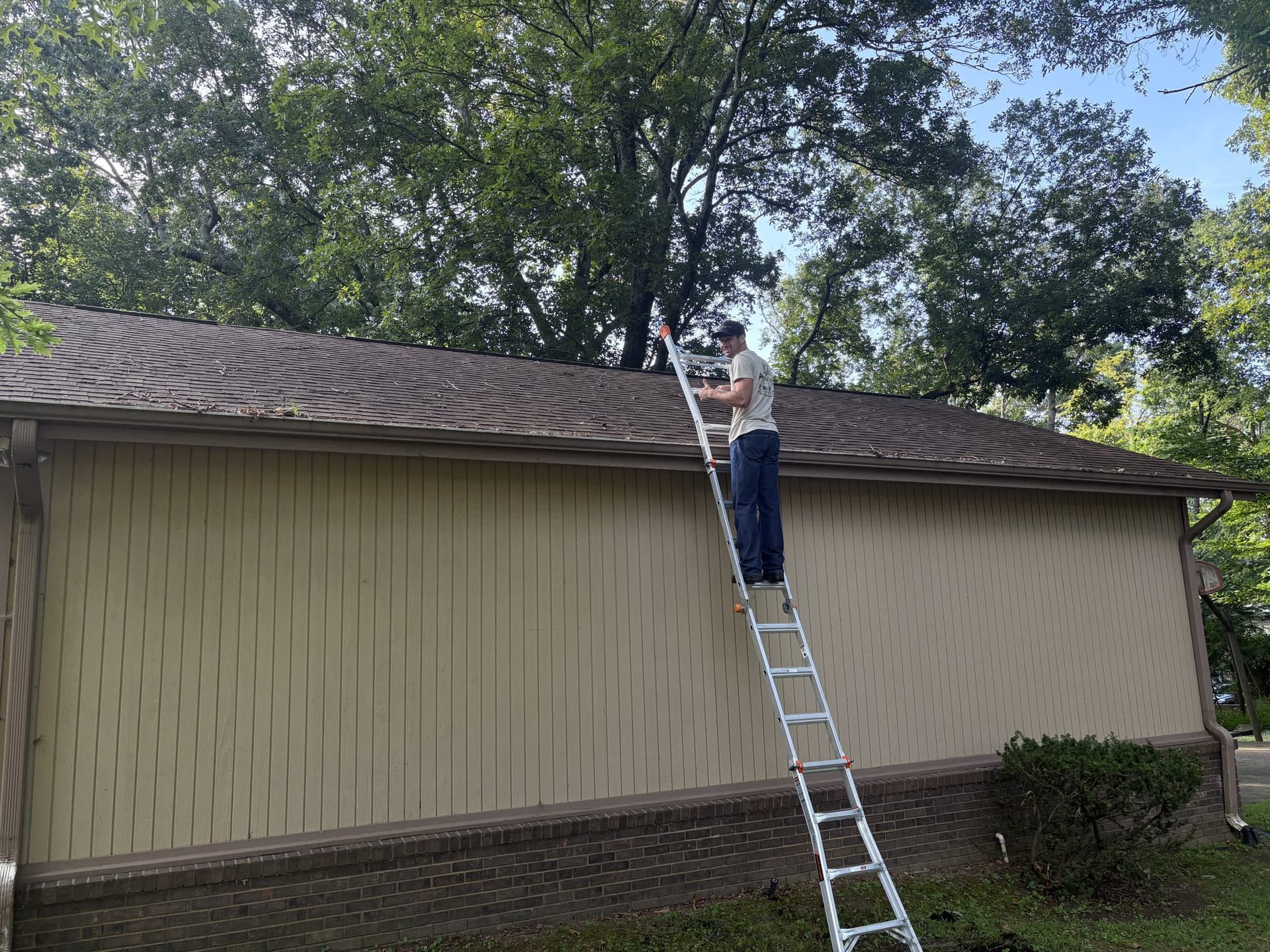 Clearing a gutter run from a ladder on a cream-sided home under oak canopy in the Shoals